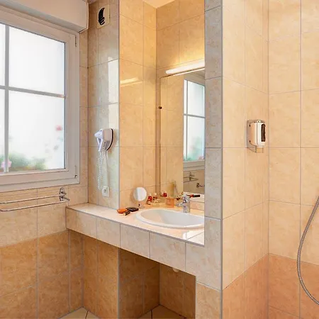 Au Vieux Marronnier Mulhouse Baldersheim