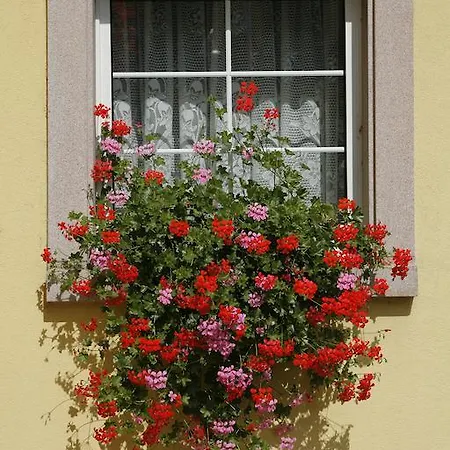 Hotel Au Vieux Marronnier Mulhouse Baldersheim