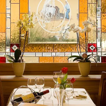 Hotel Au Vieux Marronnier Mulhouse 3*