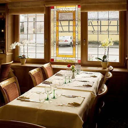 Au Vieux Marronnier Mulhouse