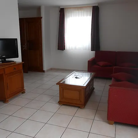 Hotel Au Vieux Marronnier Mulhouse Baldersheim